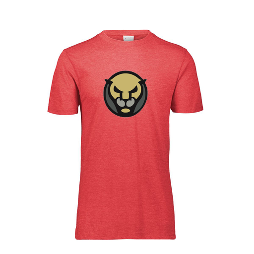 [FTSCUBRD-YS-LOGO1] Decker Youth Tri-Blend T-Shirt - Short Sleeve (Youth S, Red, Logo 1)